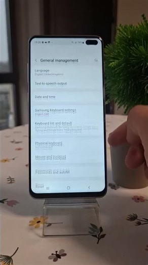 Samsung S10 plus Change Language