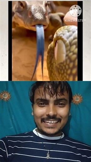 prank on monitor Lizard#funny #comedy #terendigvideo