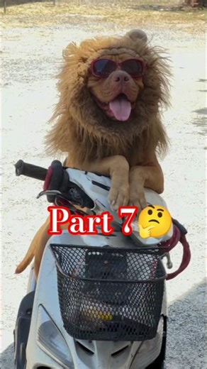 पेट से बचाया गय 🥺 Wild Woman Rescued from Python's Stomach #shorts #trending #viral​ #animals #snake