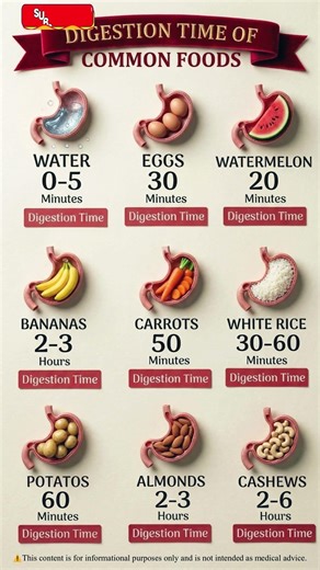 How Long Does Food REALLY Take to Digest? ⏰ #healthtips #healthylifestyle