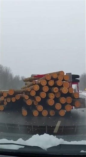 Log Trailer Hits Pavement 🚛🌲 | Heavy Load Close Call