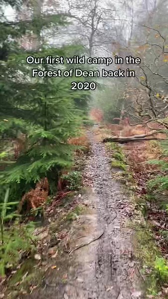 Wild Camping Adventures in the Forest of Dean