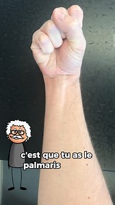 Certaines personnes n'ont pas ce muscle qu'on appelle le palmaris longus. Il peut être présent dans un bras et absent dans l’autre, ou complètement absent des deux, ou bien présent dans les deux.#documentaire #storytelling #travaux #fblifestyle #france #intelligence #incroyable #danger #anatomie #histoire #nature | Sciencesetculture