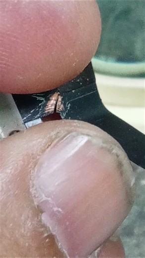 iPhone 6 plus mic speaker problem #shorts #iphone