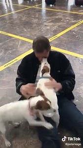 1.9M views · 136K reactions | C'est pourquoi j'aime les chiens | Music Video De Belis Tv Promotion | Facebook