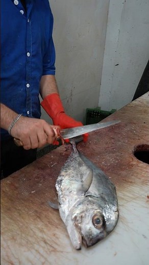 How to Fillet Sea Fish Cleanly and Easily