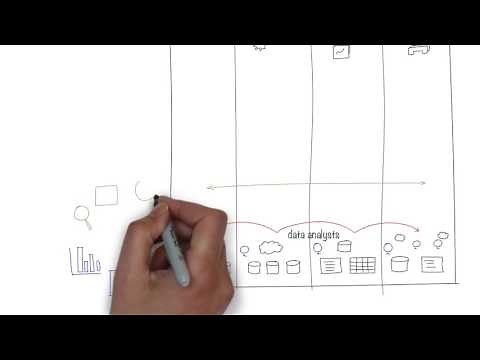 How to Build a Strong Data-Driven Organization