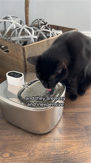 58 reactions | This is the only cat fountain that ticks all of the boxes!  ✅ Ultra quiet water pump ✅ Easy to clean, takes less than 5 min ✅ Made of stainless steel, lasts for years ✅ Wireless design, 1 charge lasts 1 month ✅ Holds enough water for 2 weeks Get yours for 40% OFF and a FREE gift! (Limited time only) | KittySpout | Facebook