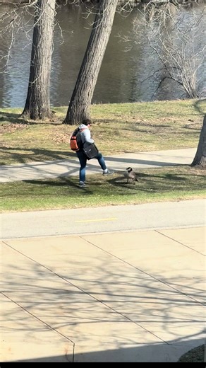 Campus Sights at Michigan State University