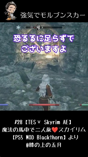 強気でモルブンスカー #28【TESⅤ Skyrim AE】魔法の馬車で二人旅❤️スカイリム【PS5 MOD Blackthorn】より #skyrim
