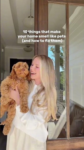 10 things that make your home smell like pets (and how to fix them)