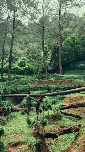 Finding Unexpected Love in Unlikely Places