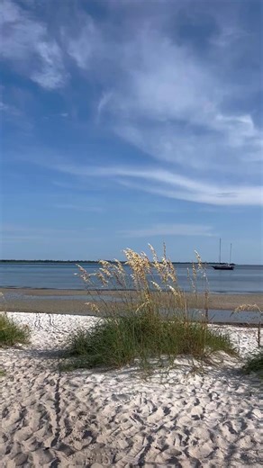 ☀️ Spend the day soaking up the sun, exploring local gems, and enjoying all that Panama City, Florida has to offer. Adventure is calling! 🌊🍹Get your guide here: https://destinationpanamacity.com/free-visitors-guide/ | Destination Panama City