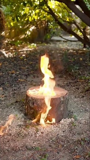 Quick and Easy Stump Removal See How Its Done