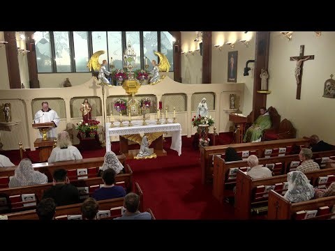 Daily Readings and Homily – 2024-10-24 – Fr. Patrick – EWTN Great Britain