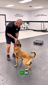 21K views · 551 reactions | Full Video On My Profile Yada - Muzzle...