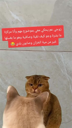 ‏#Meme #MemeCut #CapCut