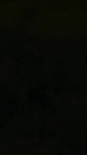 Looking for a thrill just outside Tucson? Head to Arizona Zipline Adventures in Oracle, where desert views meet sky-high adrenaline. 🪂 Fly across five epic lines, take in breathtaking canyon scenery, then refuel at Peppersauce Kitchen for the perfect post-zip bite. 📍 Just an hour north of Tucson — it’s the ultimate way to elevate your weekend. 💻 Read more about cool things to do in Tucson at the link in our bio! | Tucson Guide Magazine