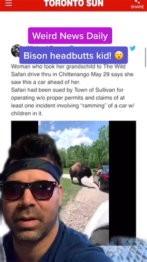 Bison Headbutts Kid! Crazy News You Won't Believe