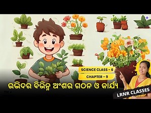 Udvidara Bibhinna Anshara Gathana O Karjya Class 6 Science Chapter 9 | LRNR Classes