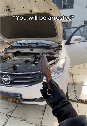 Essential Portable Car Starter and Tire Inflator