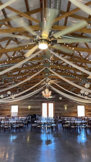 Discover the Charm of Forget Me Knot for Your Wedding