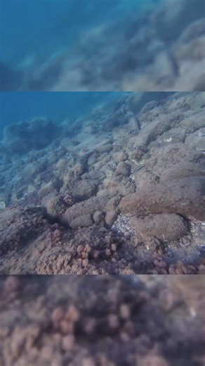 Aguas cristalinas en Calabria 🌊🐠 Explorando bajo la superficie 🇮🇹 - Parte 7