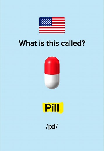 English Vocabulary: Pill, Llama, Shrimp & More