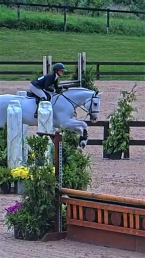 Hunter Jumper Equitation: How Many Strides in These Lines?