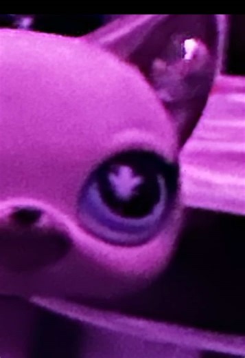 New custom!! inspo from @🎀 #lps #lpstiktok #fyp #littlestpetshop #lpscommunity first transition video be nice 👹❤️(jk love you guys)