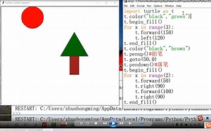 python 画tree and sun