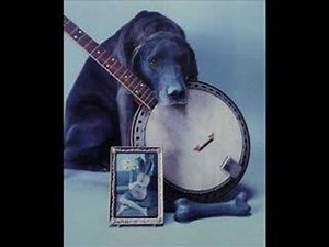 Cripple Creek Lyrics by Bill Monroe