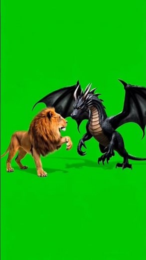 Green Screen Dragon VS Lion Fight Clif |Easy remove|