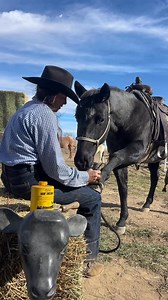 8.6M views · 165K reactions | You look so pretty like model  #Cowgirl #horses #nails | Family Travel Destination | Facebook