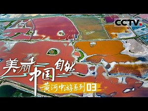 《美丽中国 自然》03 5000万年的奇迹 带你揭秘中国运城盐湖的绝美红色画卷！——黄河中游系列 【CCTV纪录】