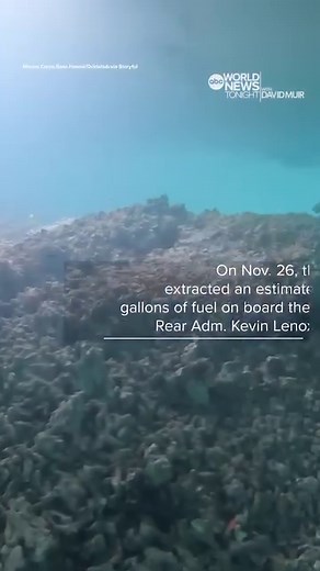 U.S. Navy divers conducted an underwater survey of the reconnaissance aircraft that crashed in Hawaii’s Kaneohe Bay on November 20 during a failed landing. Kaneohe Bay is home to coral reefs, an ancient Hawaiian fishpond and a breeding ground for hammerhead sharks. There may have been some minor damage to the coral, but there didn’t appear to be “massive chunks missing," Cmdr. Mark Anderson, who is leading the Navy's mobile diving and salvage unit working at the site, said. The Navy says it has 