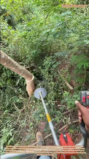 Tree Felling: Cutting Down a Tree with a Sharp Circular Saw