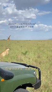 758K views · 2.8K reactions | Gators Tours & Safaris, also known as...
