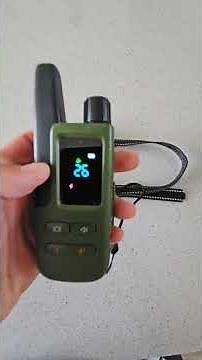 Jugbow Best Training Collar for Large Dogs Tested