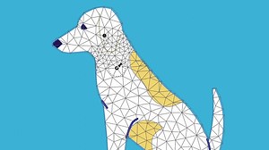 Novedades en Adobe Illustrator : Puppet Warp ¿Ya descargaste la nueva versión? Disponible para todos los suscriptores de Adobe Creative Cloud https://adobe.ly/2yO1syf | Adobe Latinoamerica