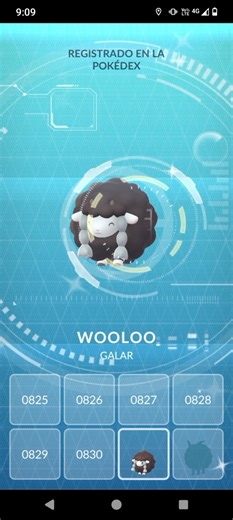 Capturó a Wooloo 🔘 Shiny ✨. Nuevo registro en la Pokédex