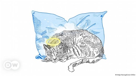 Ein gutes Gewissen ist ein sanftes Ruhekissen