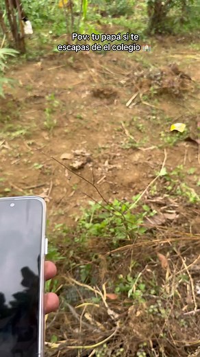 Momentos divertidos de Caliche en Instagram