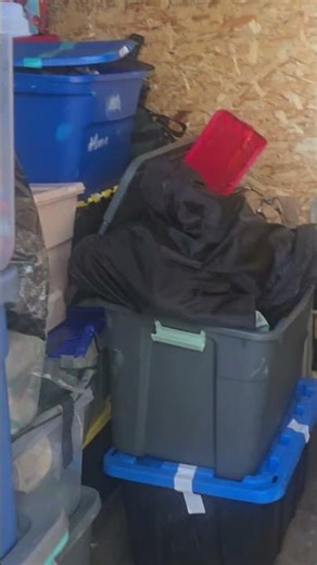 March 2026 AAA Storage Unit Auction - Unit 804 Muldoon