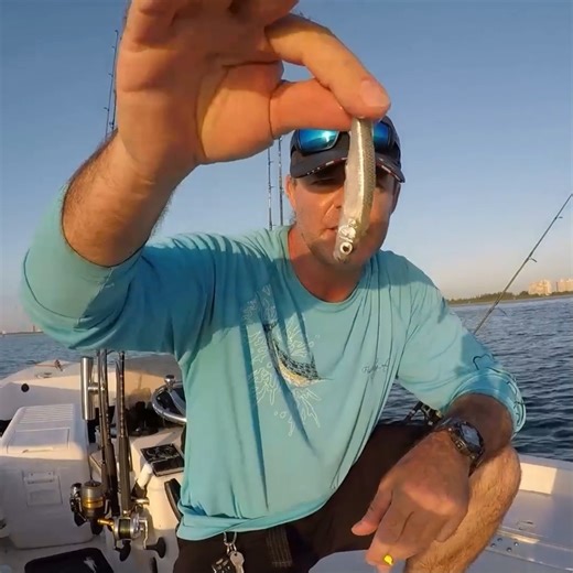 How to rig a silverside for snapper fishing #snapper #fishing #fishinglife #southflorida #bocaraton WindRider | South Florida Saltwater Fishing