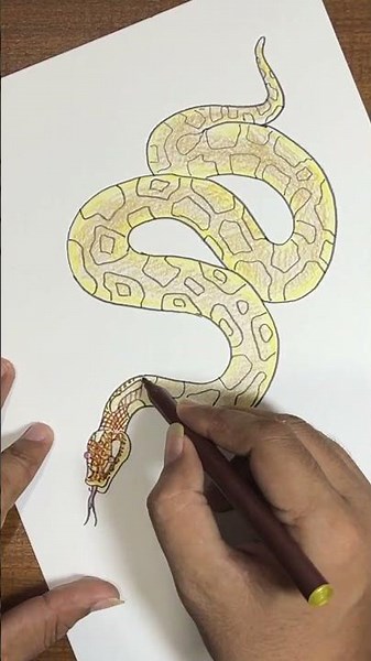 How to draw python snake jungle and coloring drawing art #begineers #easy #creative #howto #learn