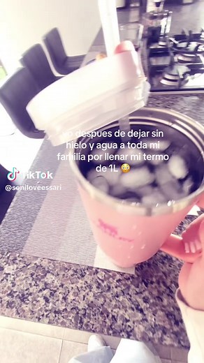 Stanley Termo de 1L: Cómo Mantener tu Agua Fría