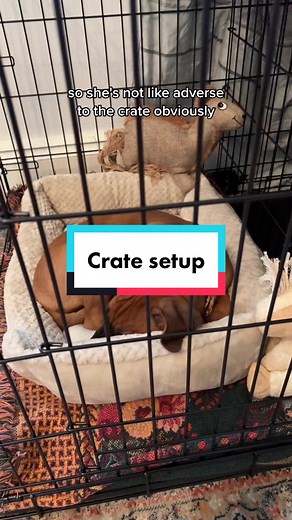 Puppy Crate Training Tips for Rhodesian Ridgeback Puppies
