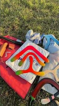 Which of these three boomerangs do you like best?