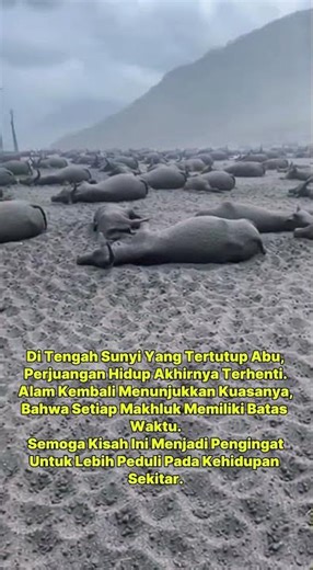 JEJAK TERAKHIR SEBELUM SUNYI #shorts